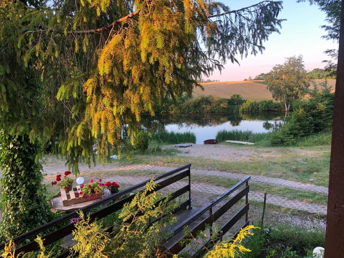 Kaszubski Loft Z Wlasnym Stawem Rybnym Żukowo Buitenkant foto